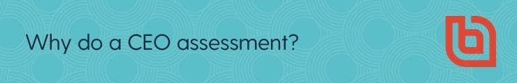 Why do a nonprofit CEO assessment?
